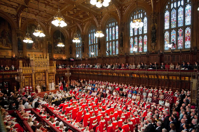 UK digital markets regime: The Lords have their say